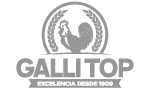 Galli Top