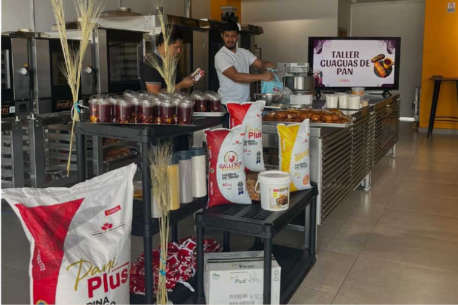 GUAGUAS_MODERNA-PROFESIONAL 3