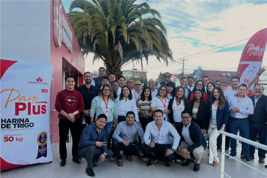 PANIPLUS_MODERNA PROFESIONAL 1