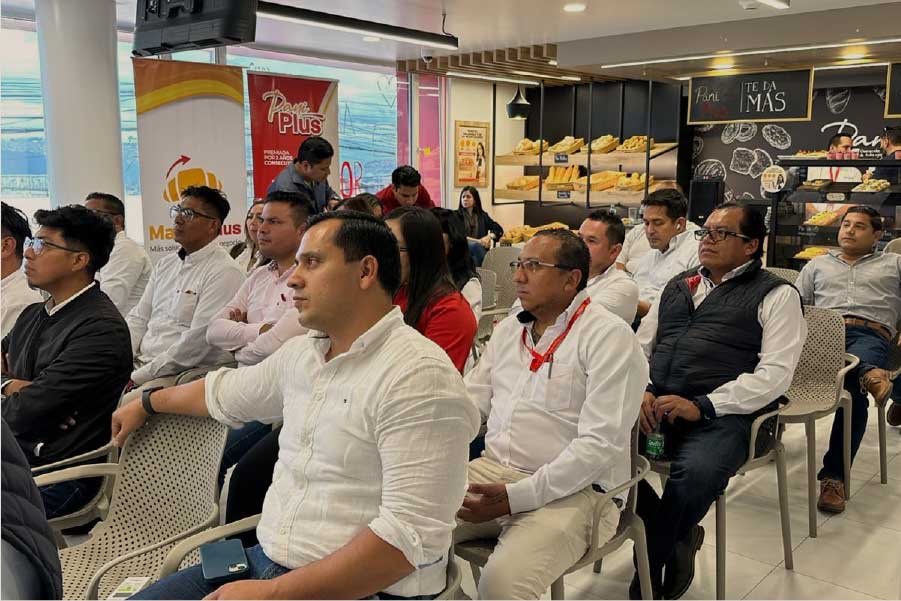 PANIPLUS_MODERNA PROFESIONAL 2